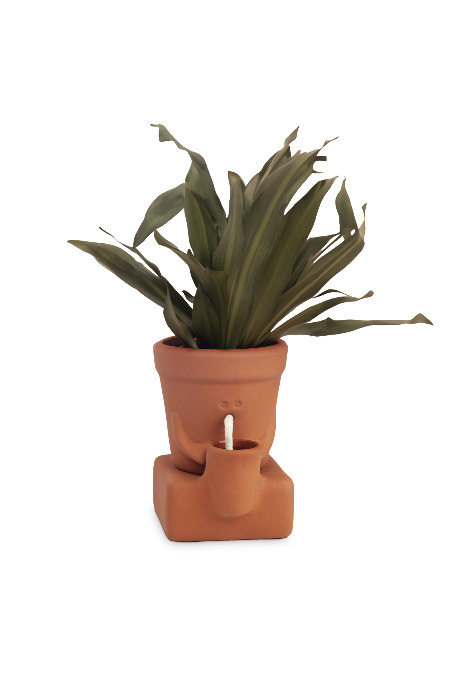 A terracotta-colored planter shaped like a face with a small spout, holding a green leafy plant, shown on a plain white background.