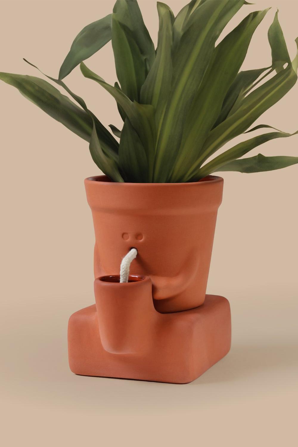 A terracotta-colored planter shaped like a face with a small spout, holding a green leafy plant, set against a solid beige background.