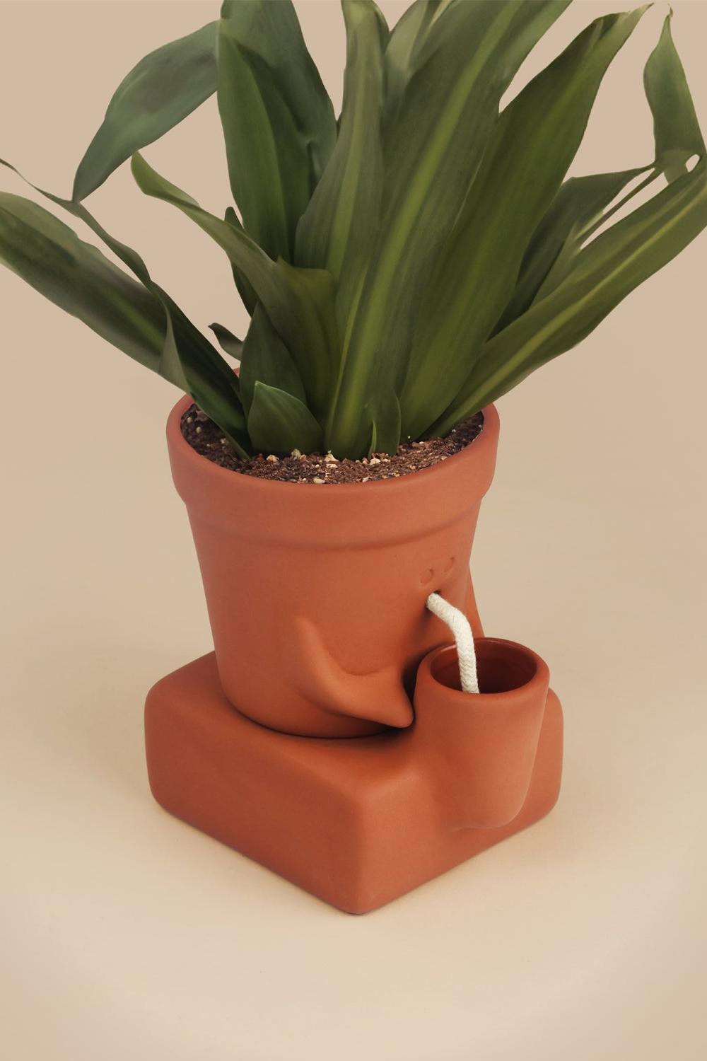 A terracotta-colored planter with integrated cups and a small white straw, holding a green leafy plant, set against a plain beige background.