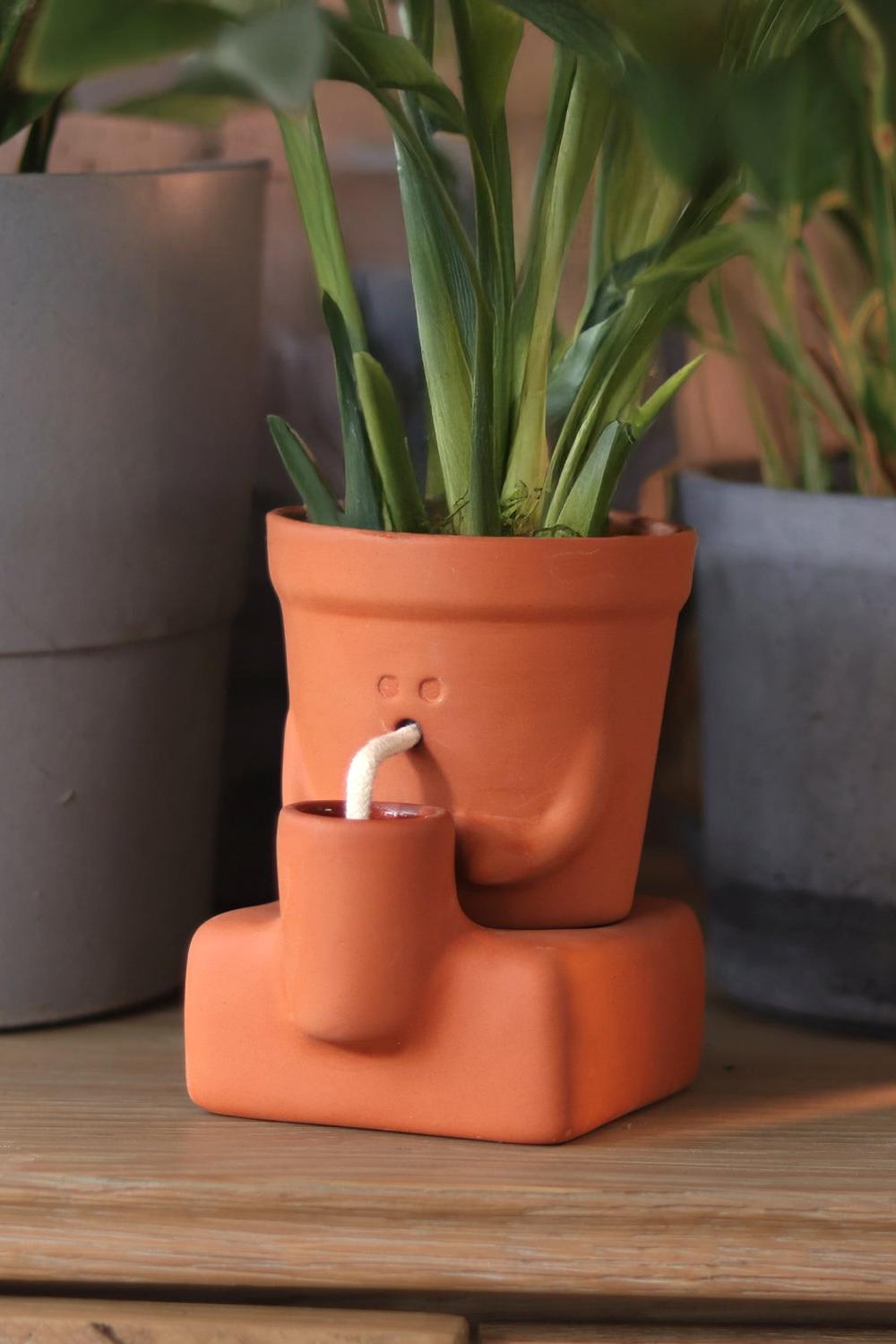An orange terracotta planter with a built-in small cup and curved white spout, holding green plant leaves, styled on a wooden surface with other potted plants in the background.