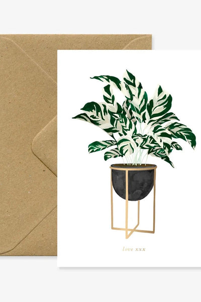 All The Ways To Say Calathea Plant Greeting Card-Gifts-Ohh! By Gum - Shop Sustainable