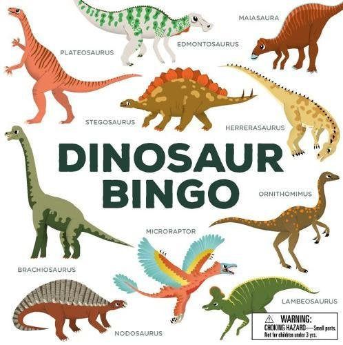 Dinosaur Bingo for Kids-Gifts-Ohh! By Gum - Shop Sustainable