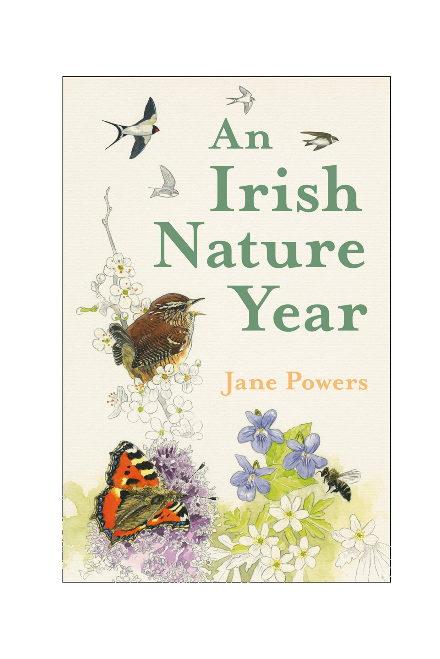 IRISH NATURE YEAR-Books-Ohh! By Gum - Shop Sustainable