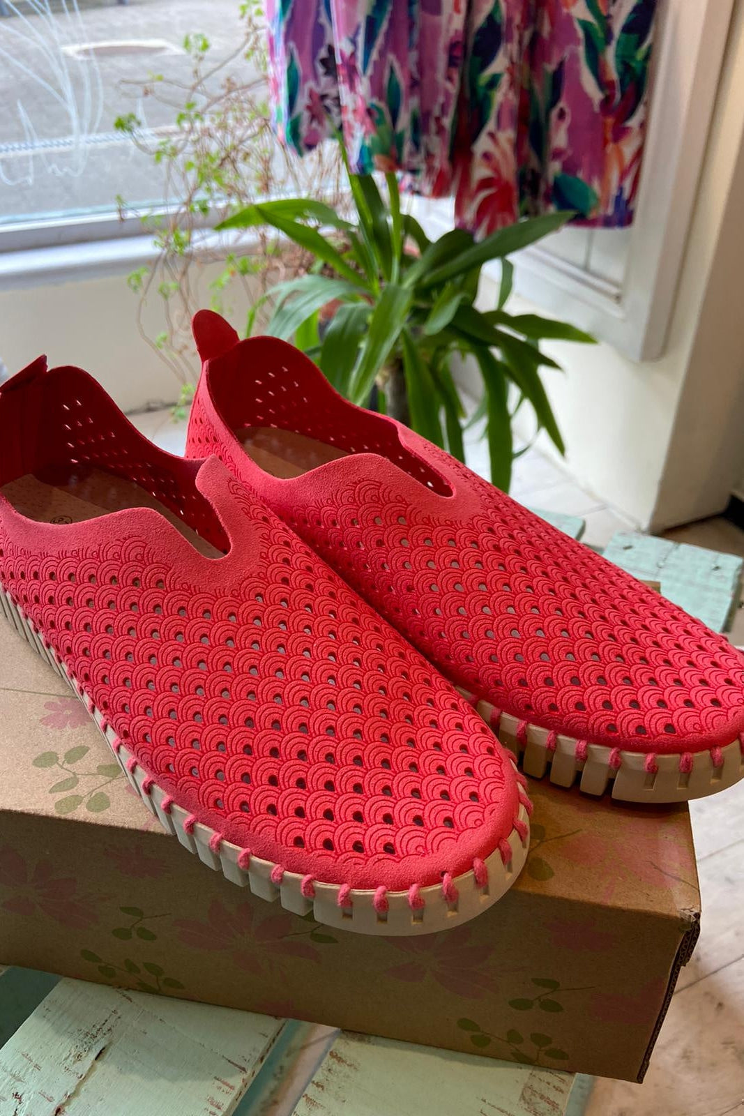 Ilse Jacobsen Tulip Shoes in Raspberry colour-Accessories-Ohh! By Gum - Shop Sustainable
