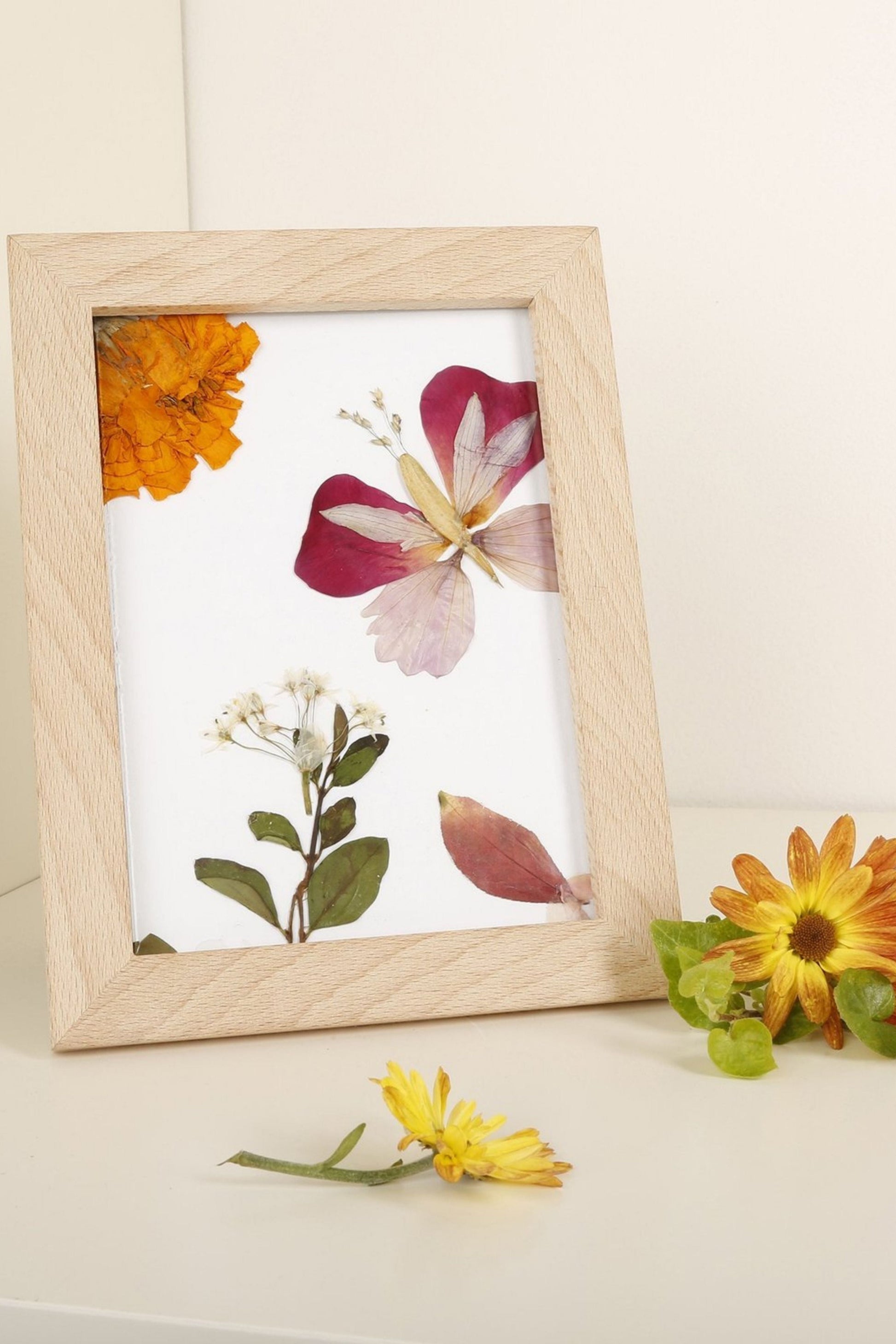 Kikkerland Pressed Flower Frame-Homeware-Ohh! By Gum - Shop Sustainable