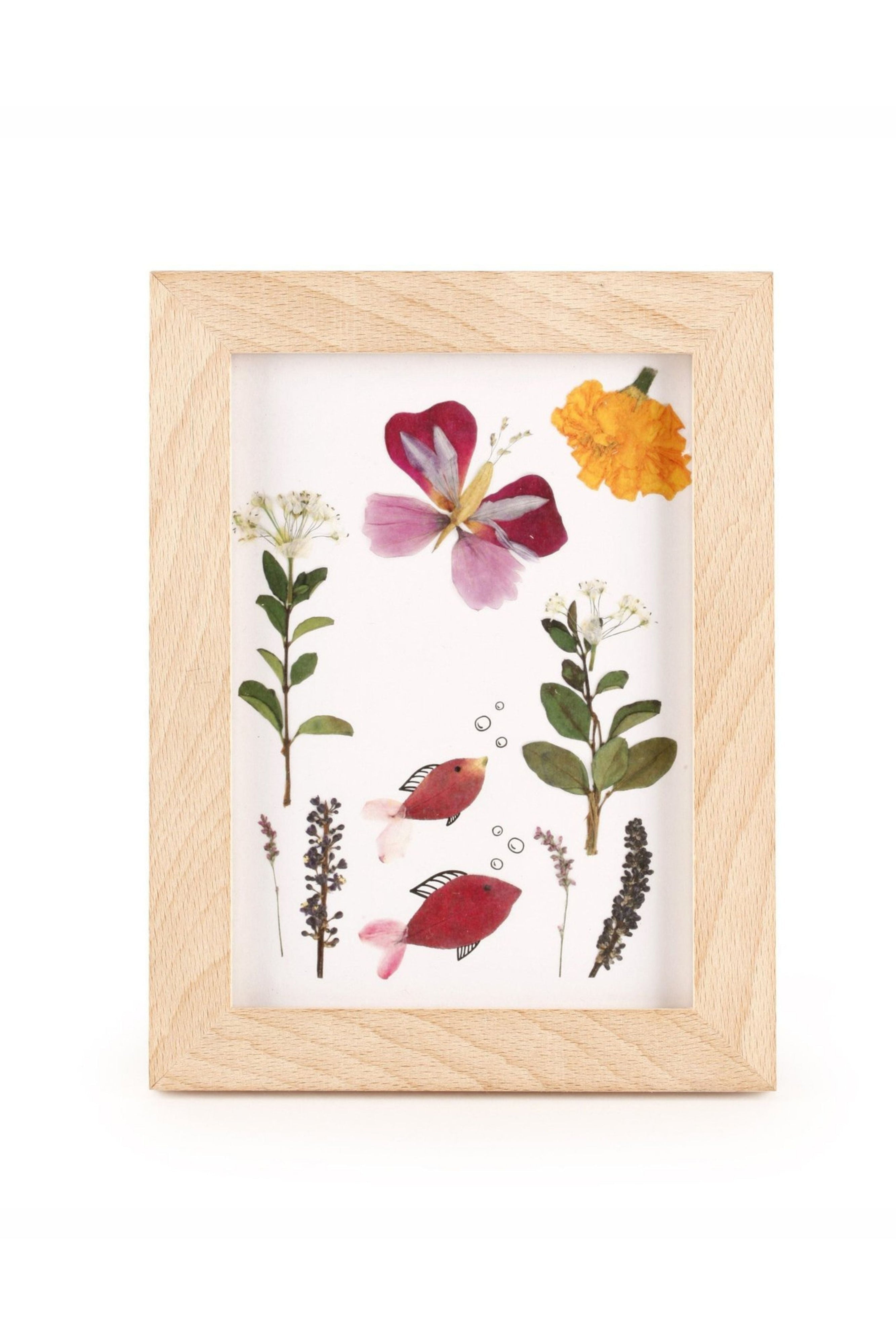 Kikkerland Pressed Flower Frame-Homeware-Ohh! By Gum - Shop Sustainable