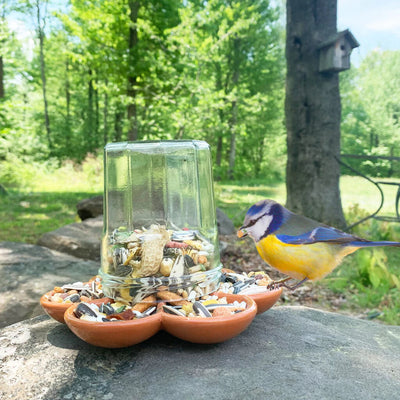 Kikkerland Terracotta Bird Feeder-Accessories-Ohh! By Gum - Shop Sustainable