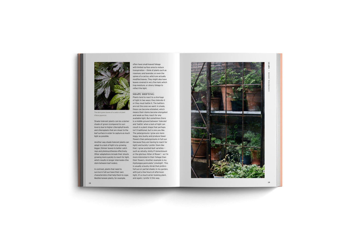 SHADE (BLOOM GARDENERS GUIDE)-Books-Ohh! By Gum - Shop Sustainable