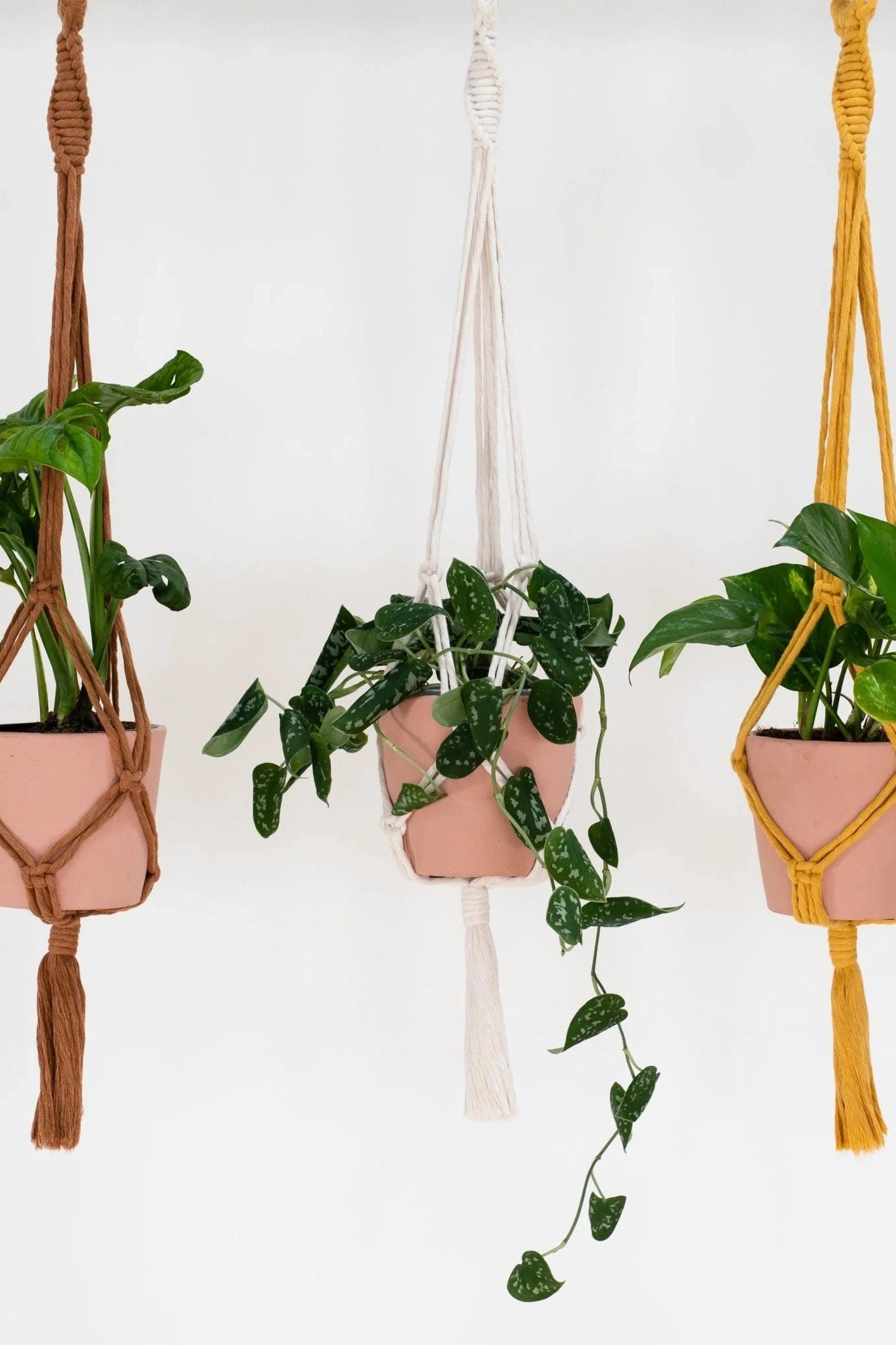 Stitch Happy Macrame Plant Hang Kit - Blush-Gifts-Ohh! By Gum - Shop Sustainable
