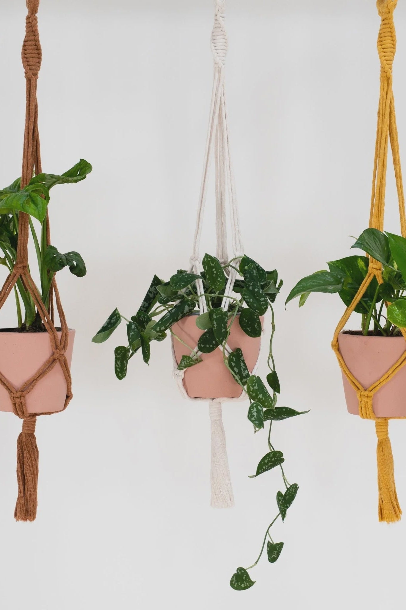 Stitch Happy Macrame Plant Hang Kit - Mustard-Gifts-Ohh! By Gum - Shop Sustainable