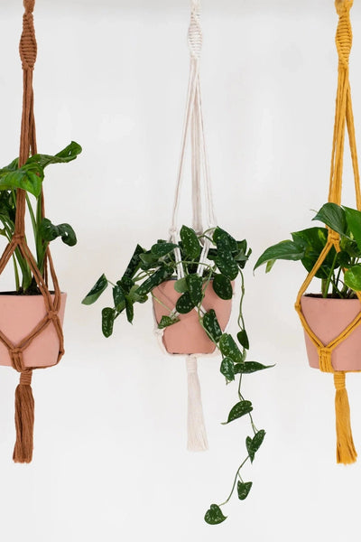 Stitch Happy Macrame Plant Hang Kit - Terracotta-Gifts-Ohh! By Gum - Shop Sustainable